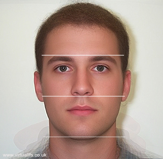 perfect face proportions male